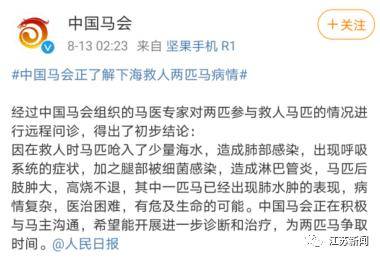 网易:4949澳门今晚开奖结果-舌尖上的中国是哪个台  第3张