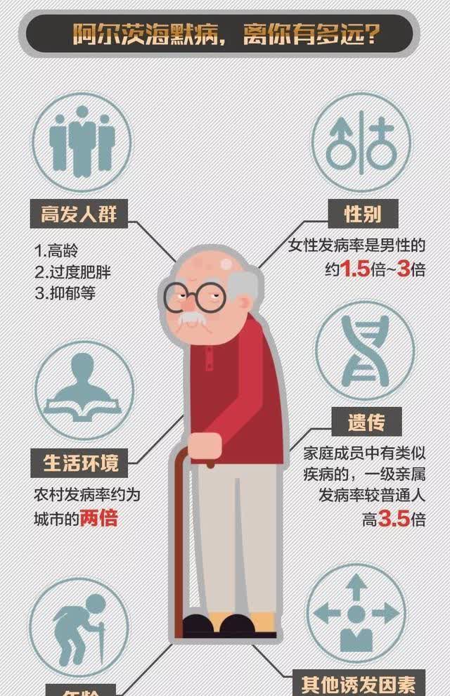 小红书:2024新澳门资料大全-笔记本什么品牌好  第1张