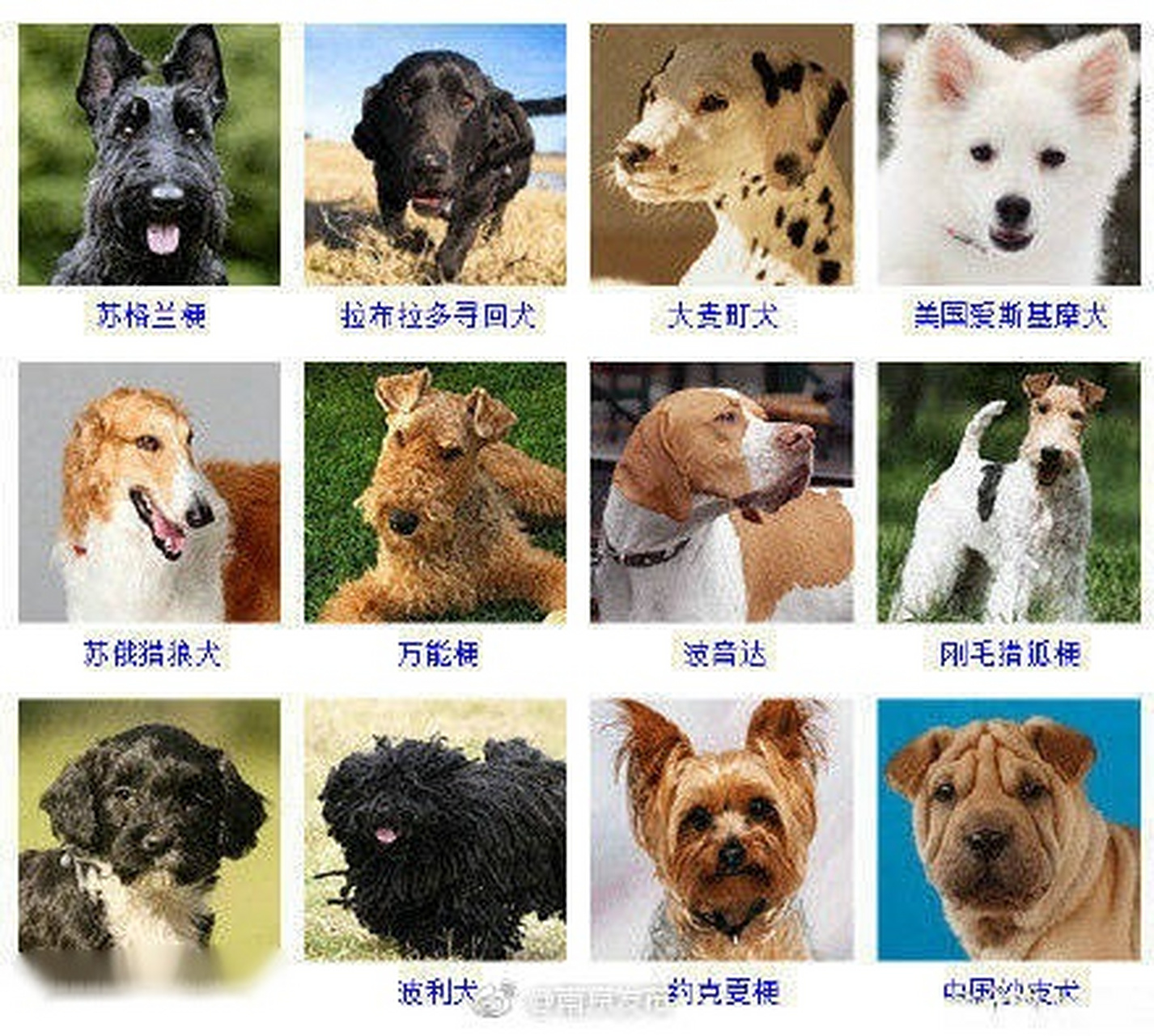 微博订阅:2024年澳门正版资料大全免费-抱持是什么意思  第1张
