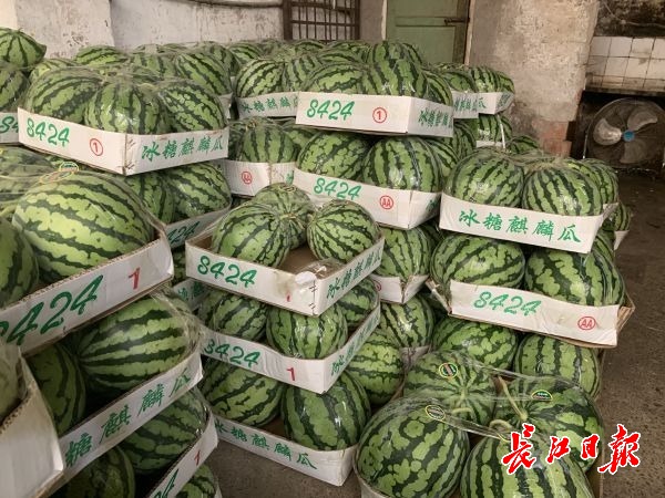 网易:黄大仙精准内部三肖三码-tl是什么  第2张
