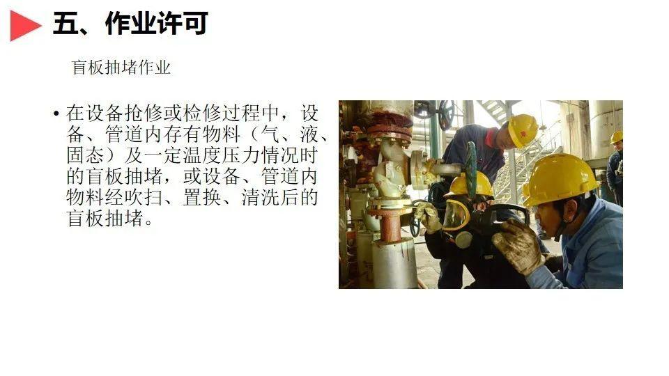 搜狐:澳门正版资料免费大全精准-杨白劳是什么意思  第3张
