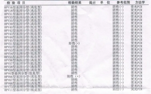 搜狗订阅:马会澳门正版资料查询-hpv12种高危型阳性是什么意思  第2张