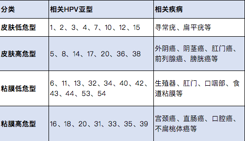 搜狗订阅:马会澳门正版资料查询-hpv12种高危型阳性是什么意思  第3张