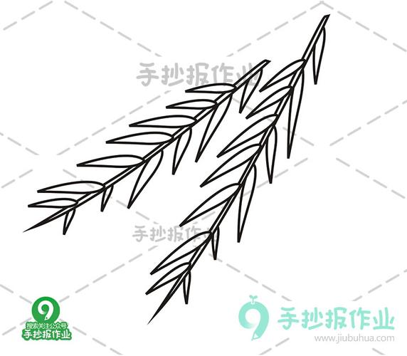 微博:新澳精选资料免费提供-柳叶怎么画  第1张