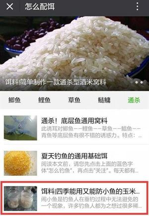 火山视频:王中王最准一肖100免费公开-啤酒花是什么东西  第3张