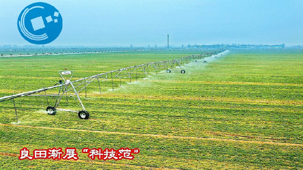 中新网:2024年新奥开奖结果如何-河南农民近40度高温浇地抗旱  第3张