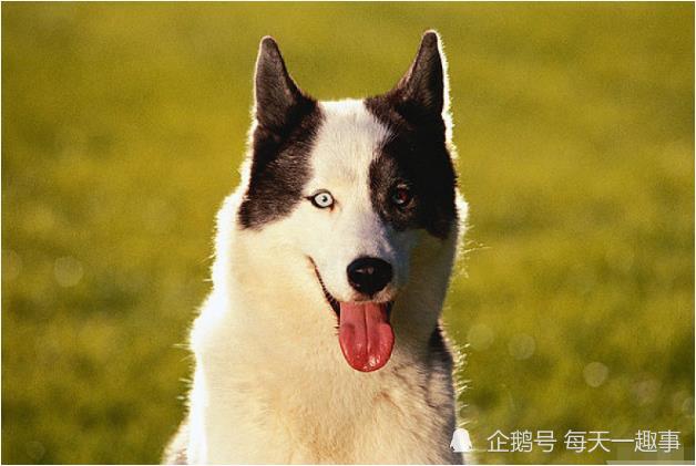 小红书:澳门王中王100%资料2023-太多的借口太多的理由是什么歌  第2张
