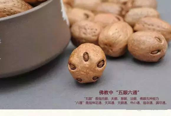 知乎：澳门三期必内必中一期-菩提子长什么样子  第1张