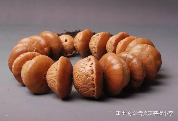 知乎：澳门三期必内必中一期-菩提子长什么样子  第2张