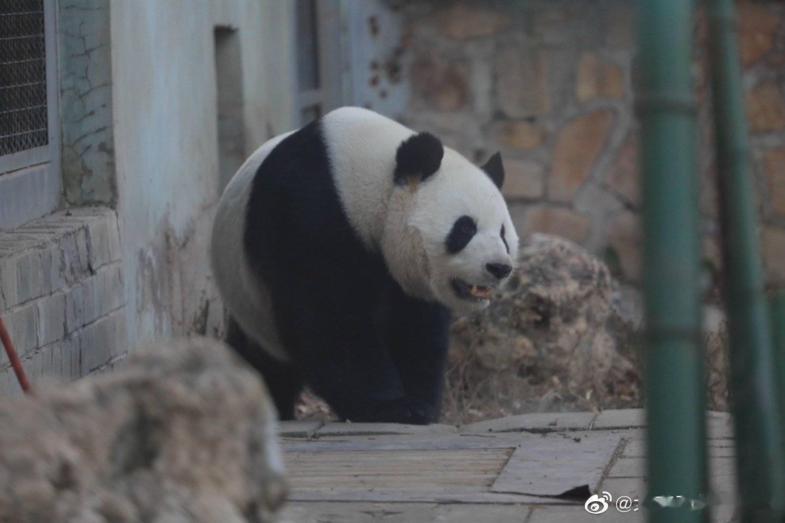 腾讯：2024年澳门一肖一码期期准-橄榄什么味道  第2张