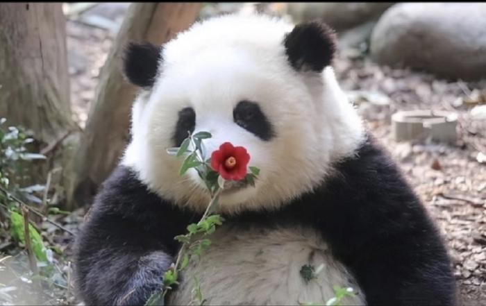 微博:香港资料大全正版资料2024年-mrsa医学上是什么意思  第1张