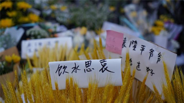 腾讯：香港资料图库一免费-中学毕业典礼女生唱《离别开出花》  第3张