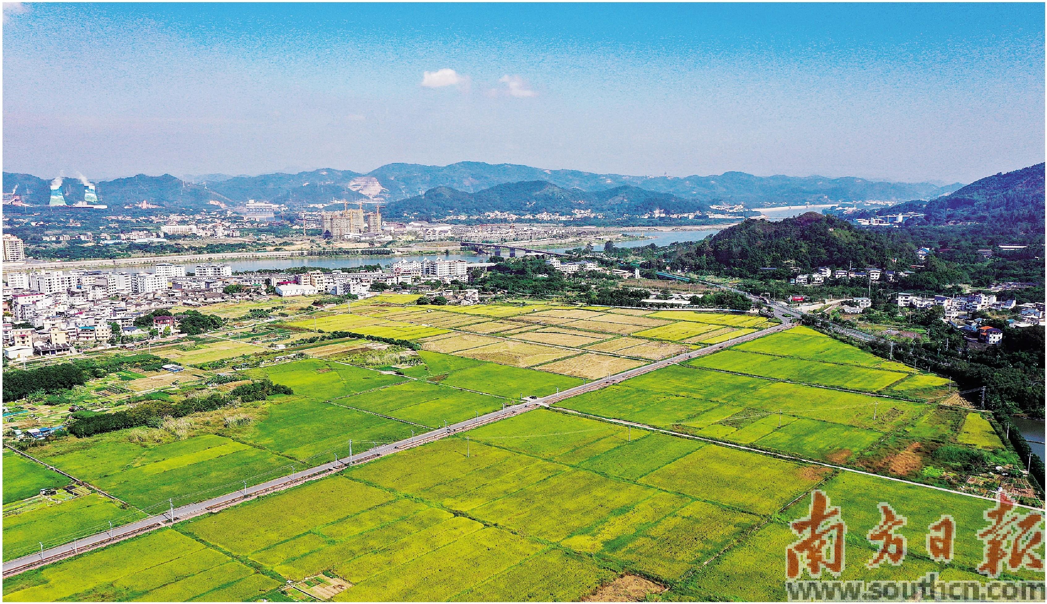 搜狗订阅:马会澳门正版资料查询-绘出田野好“丰”景  第1张