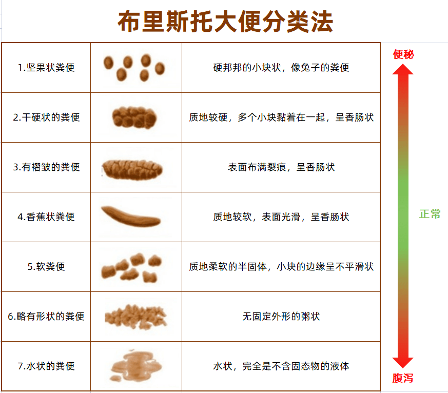 网易:2024全年资料免费大全-痉挛什么意思  第2张