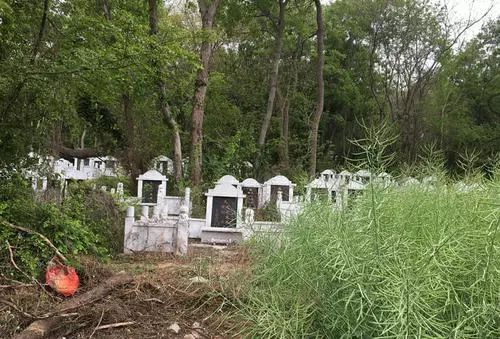 阿里巴巴:澳门2024正版资料王中王-南通一公墓数十个墓盖被掀开  第3张