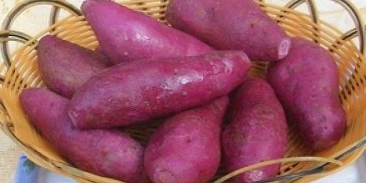 腾讯：二四六香港资料期期准-地瓜不能和什么一起吃  第1张