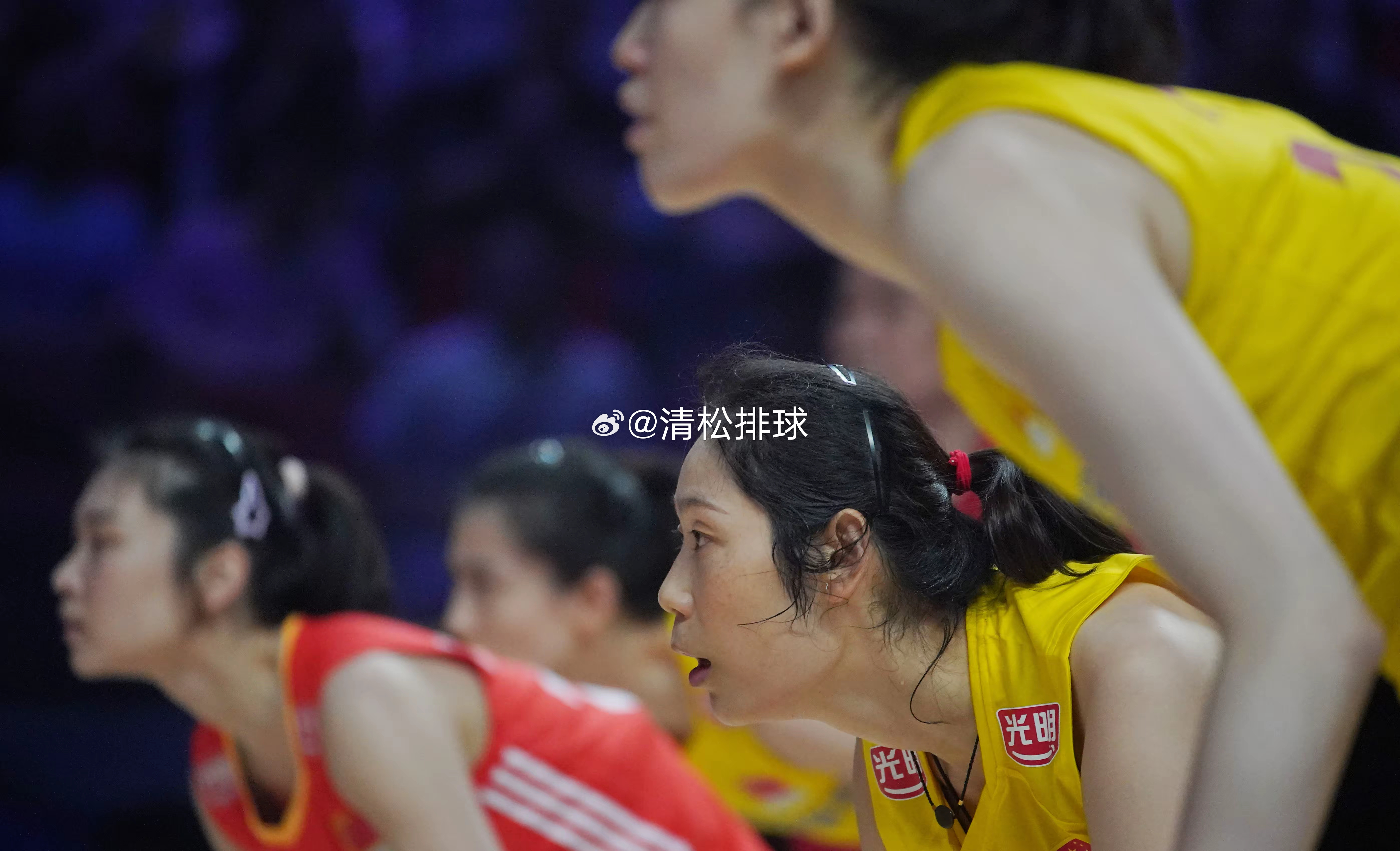 抖音视频:今晚澳门494949开奖号码-中国女排3-0完胜德国取两连胜  第3张