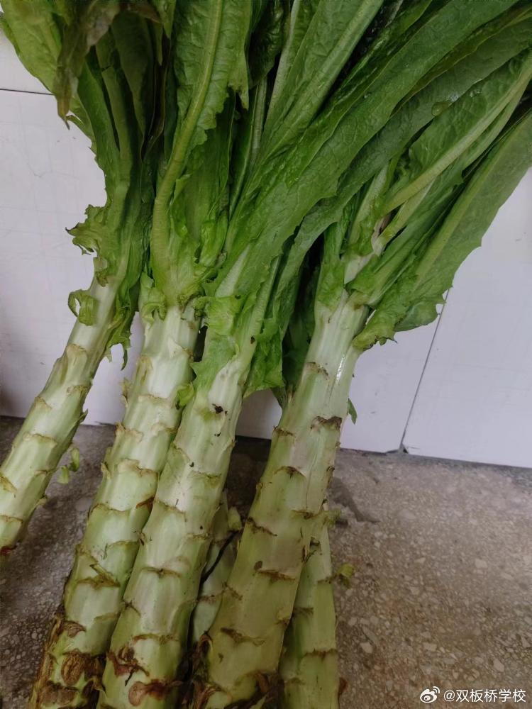 百度平台:新澳门4949正版资料大全-湿吻是什么意思  第3张
