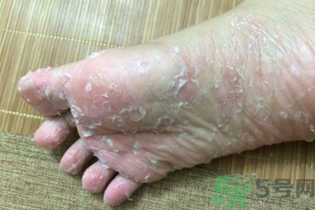 网易:澳门最快最精准资料大全-欢乐颂3什么时候播出哪个台  第3张