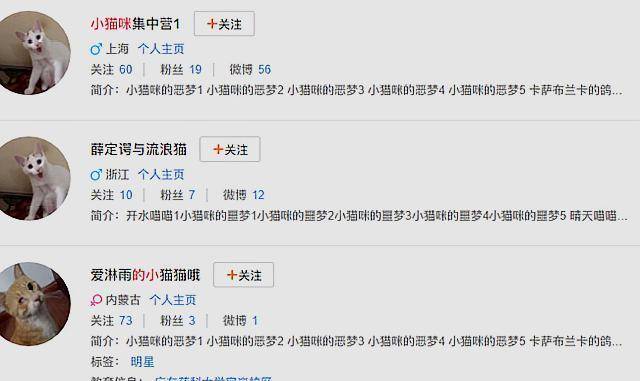 火山视频:2024澳门今天晚上开什么生肖-中超球票哪个网站买  第2张