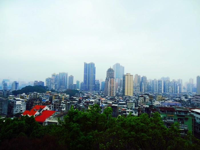 小红书:新澳门4949免费资料大全-戈壁滩上新风景  第3张