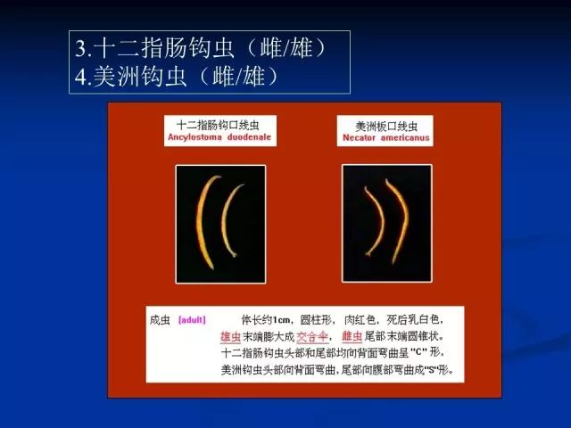 搜狐订阅：2024澳门资料大全正版资料免费-牙龈变黑是什么原因  第3张
