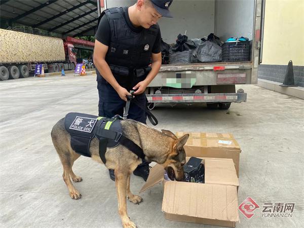 中新网:2024澳门王中王100%的资料-云南被偷警犬已找到  第2张