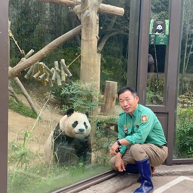 搜狗订阅:2024年奥门特马资料图59期-福宝是第一个把笋剥干净吃的大熊猫  第2张