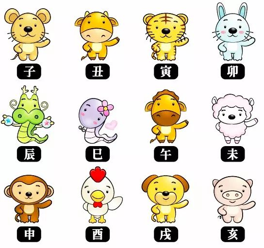 微博:澳彩资料免费资料大全生肖灵码表-品字五行属什么  第2张