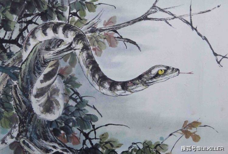 知乎：澳门今晚必中一肖一码-pepsi是什么意思  第2张