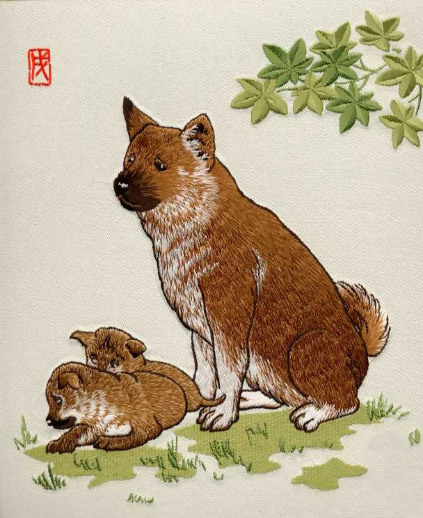 百度平台:今晚澳门开准确生肖12月4日-怎么判断猫的年龄  第2张