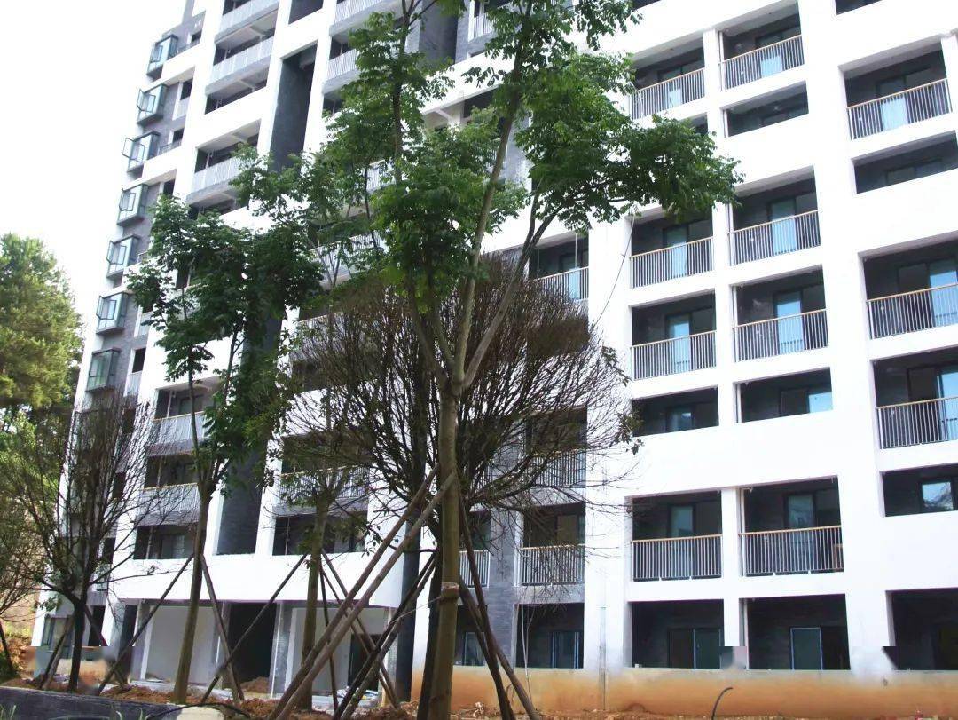 中新网:澳门精准三肖三码三期开奖结果-宿迁学院宿舍怎么样  第2张