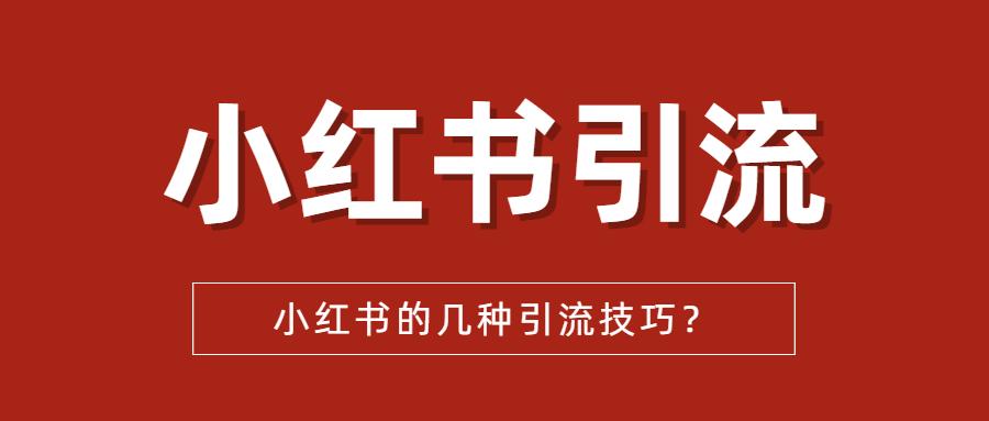 小红书:新澳彩资料免费长期公开-小满吃什么  第2张
