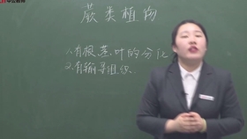 小红书:2024年奥门特马资料图59期-山巅是什么意思  第2张