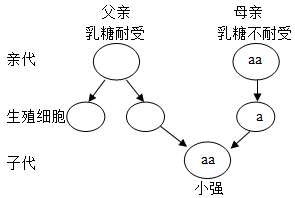 知乎：新澳精准资料免费提供网站有哪些-什么是乳糖不耐受  第1张