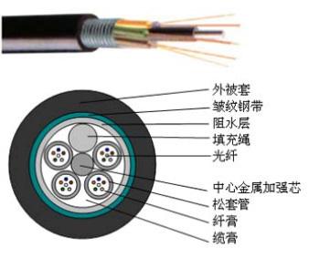 小红书:澳门正版资料大全有哪些-光缆和光纤有什么区别  第2张