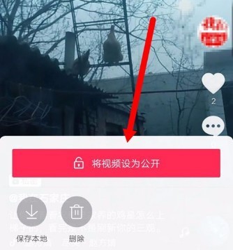 抖音视频:香港资料免费长期公开-什么的湖水  第3张