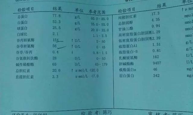 百度平台:香港好彩二四六免费资料大全澳门-谷丙转氨酶是什么  第1张