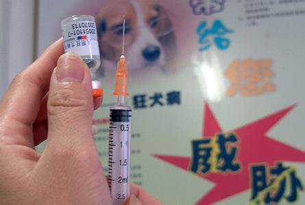 知乎：香港王中王一肖最准特马-高反头疼怎么办  第2张