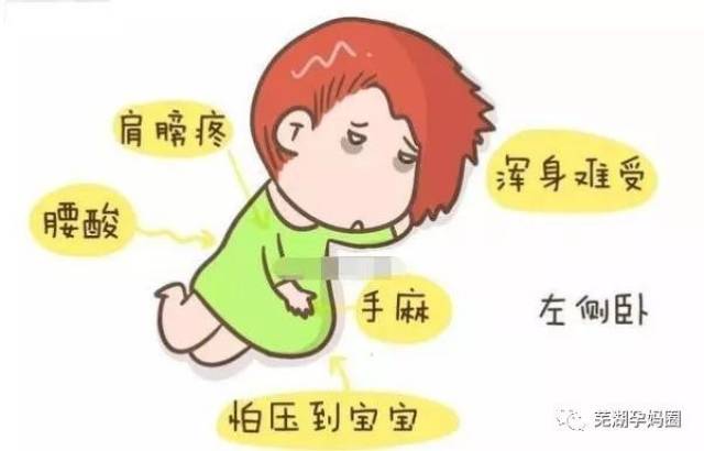 百度平台:澳门正版资料大全免费六肖-孕妇吃红薯对胎儿有什么好处  第1张