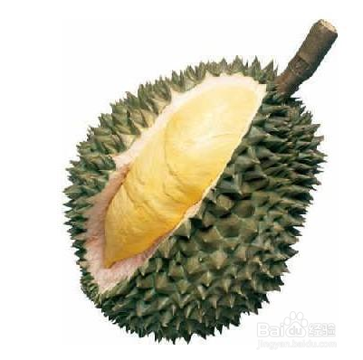 百度平台:2024香港正版资料大全免费-榴莲什么季节吃最好  第2张