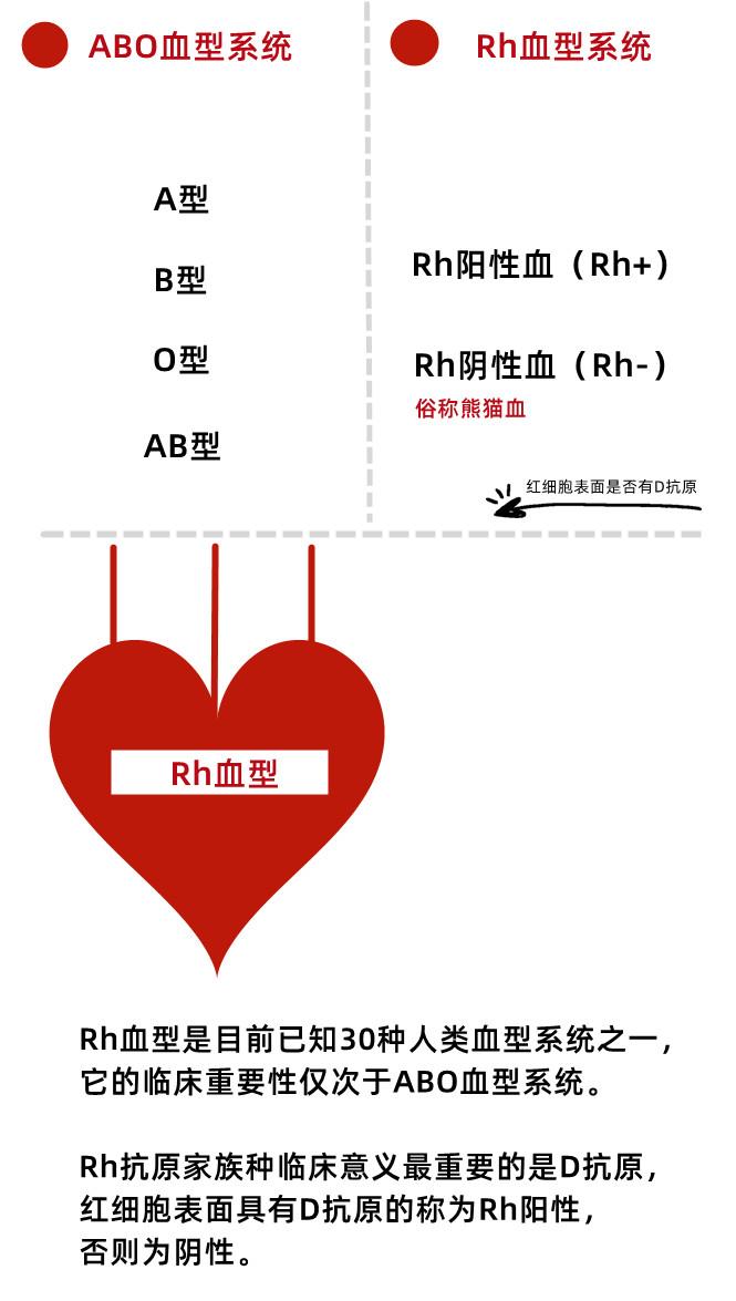 微博:新澳精选资料免费提供-rh阴性血是什么血型  第2张