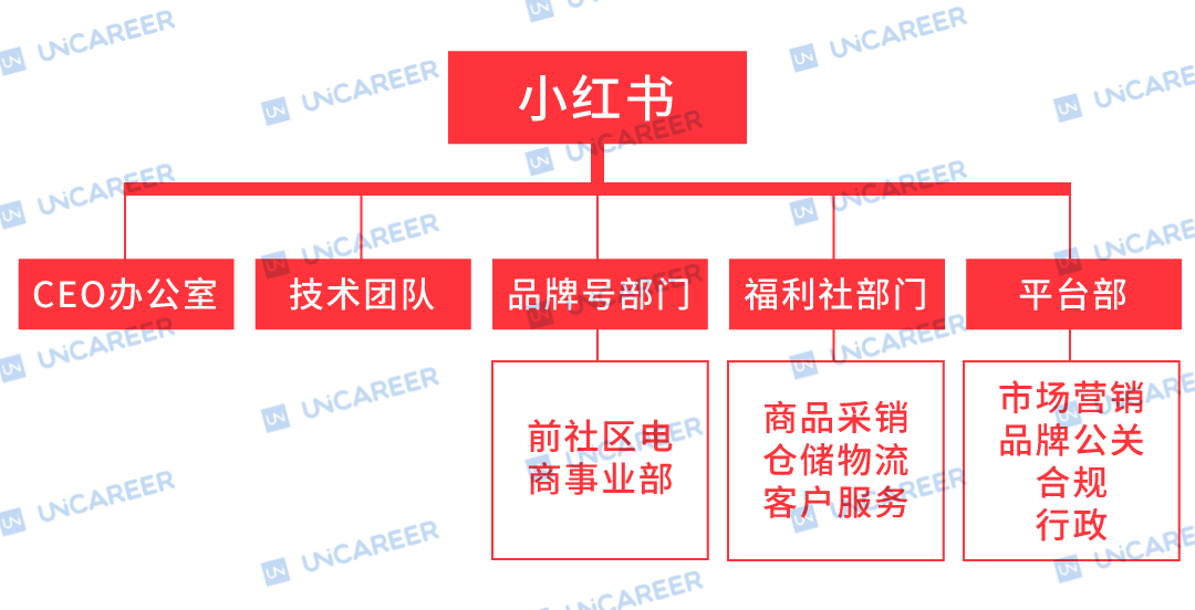 小红书:新澳精准资料免费提供网站有哪些-组织结构是什么  第1张