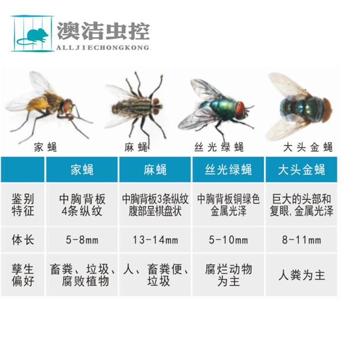 搜狐:2024年新澳版资料正版图库-什么动物会冬眠  第3张