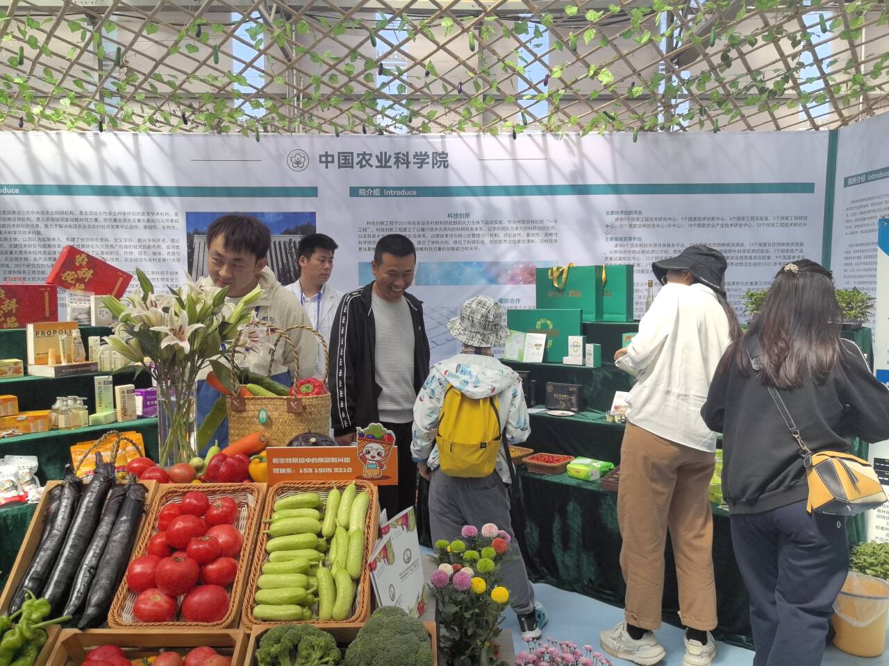 百家号:香港资料大全正版资料2024年-秋天有什么  第2张