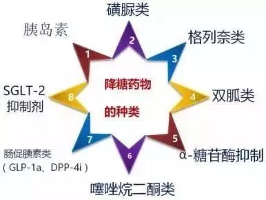 中新网:新澳精准资料免费提供网站有哪些-杵状指见于什么病  第3张
