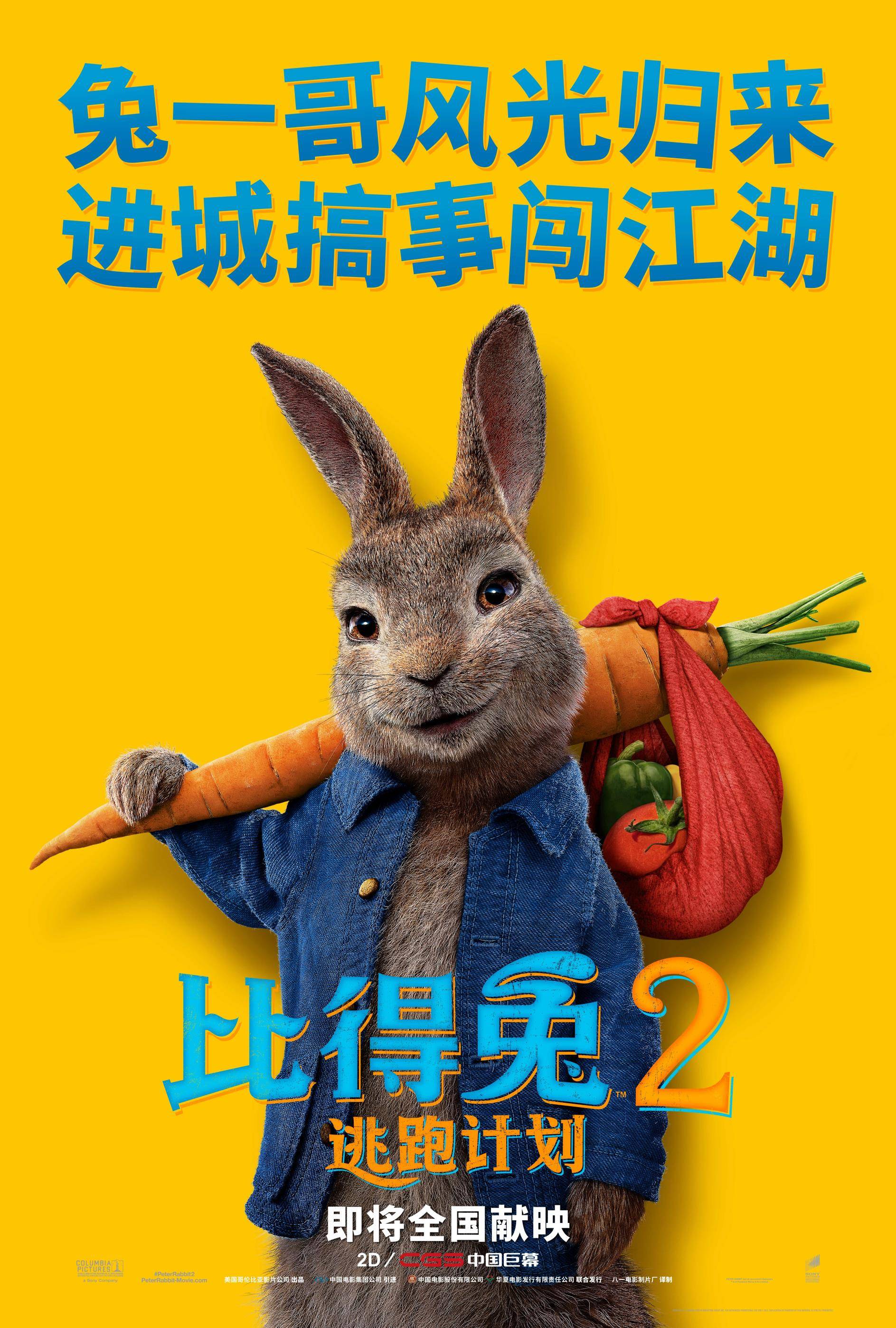 搜狐订阅：新奥彩2024年免费资料查询-吃了兔子肉不能吃什么  第3张