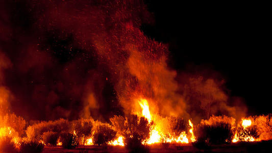 火山视频:新澳彩资料免费长期公开-《玫瑰的故事》上海取景地曝光  第3张