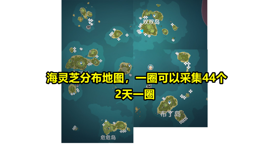 中新网:2024新澳正版免费资料大全-花生什么时候收获  第1张