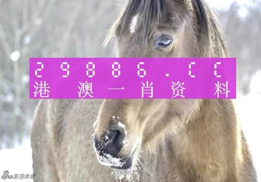 网易:澳门一肖一码100准免费资料-白痴用英语怎么说  第3张